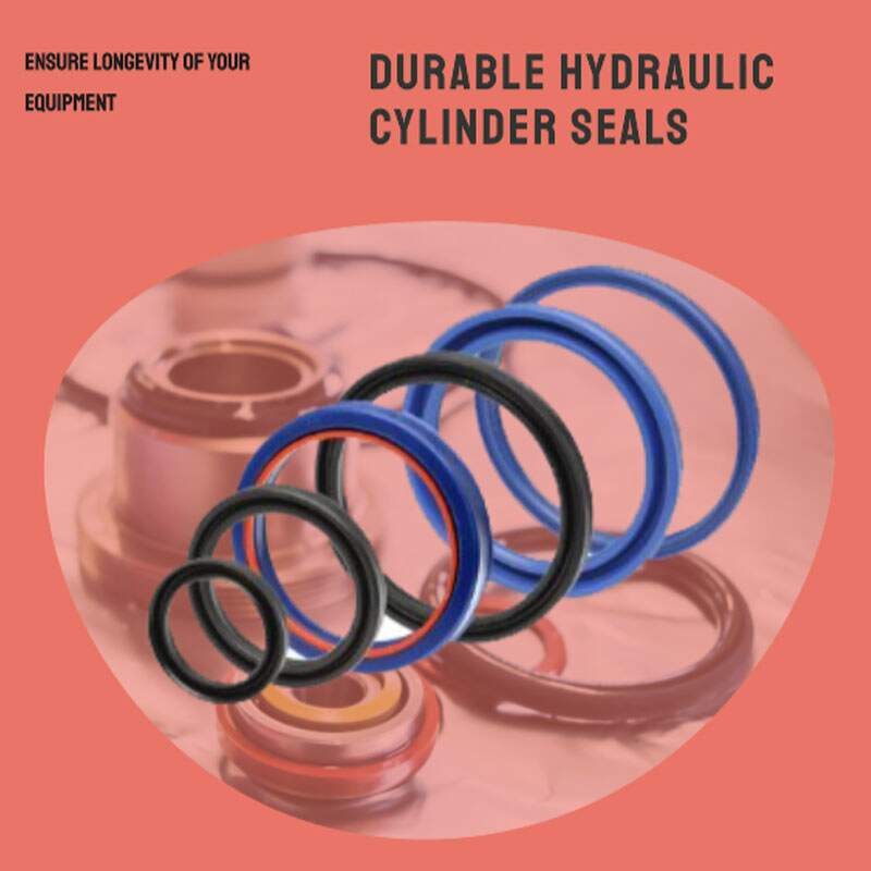 Hydraulic Cylinder Seal Replacement Guide 2024 | Comphydraulic